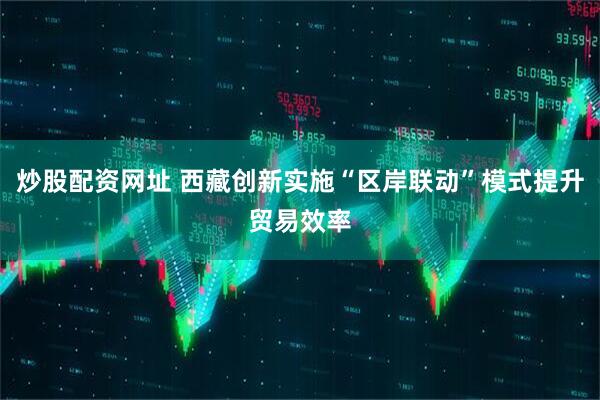 炒股配资网址 西藏创新实施“区岸联动”模式提升贸易效率